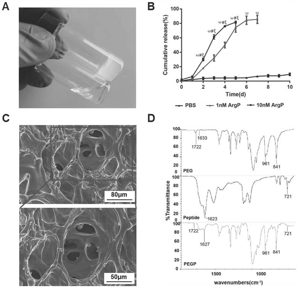 Targeted antibiosis and in-situ osteogenesis promoting bifunctional material as well as preparation method and application thereof