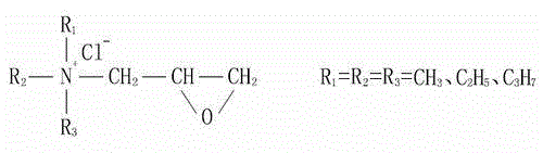 Cationic modified dyeing process for cellulose fiber