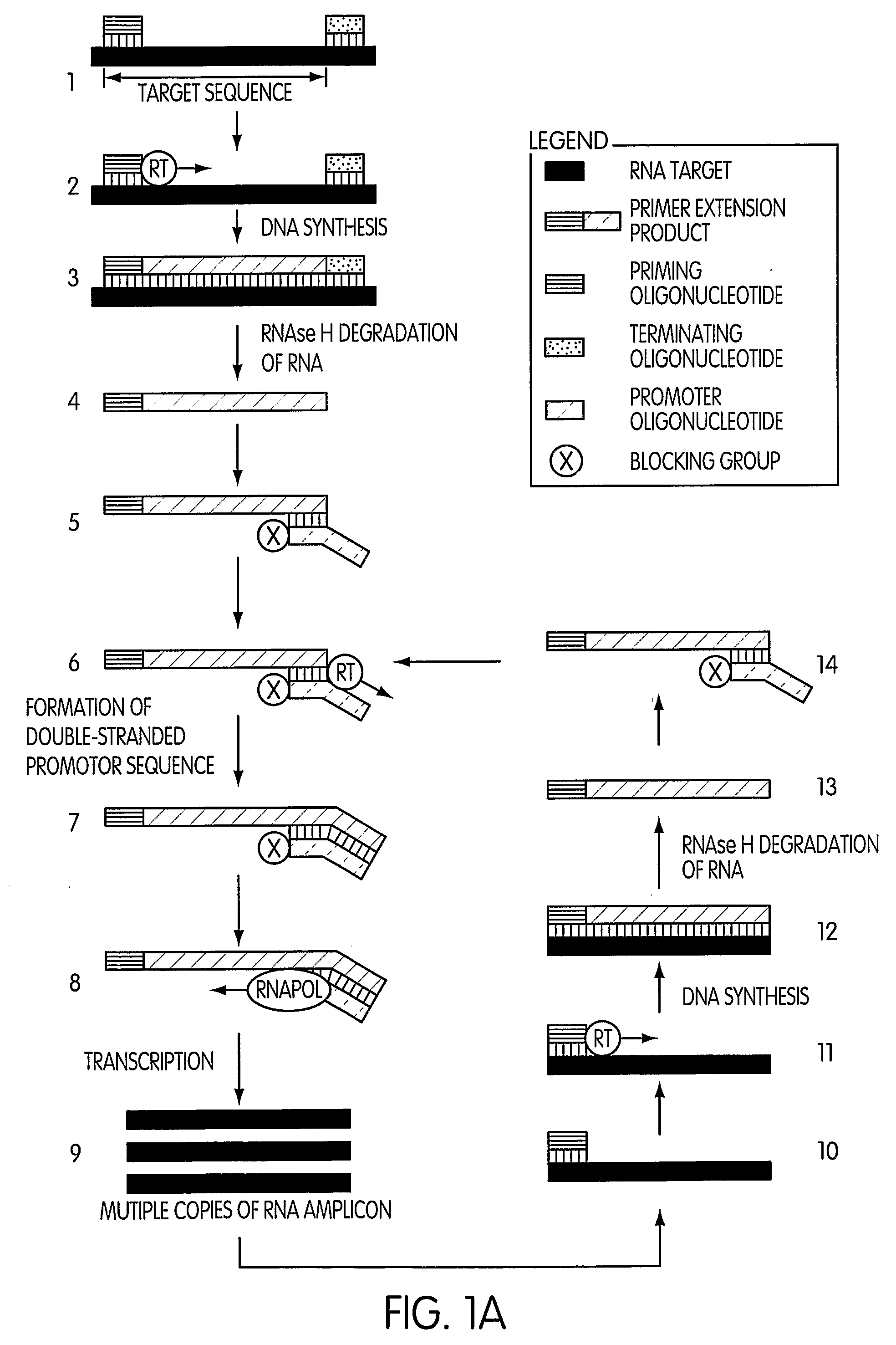 Kits for Performing Amplification Reactions