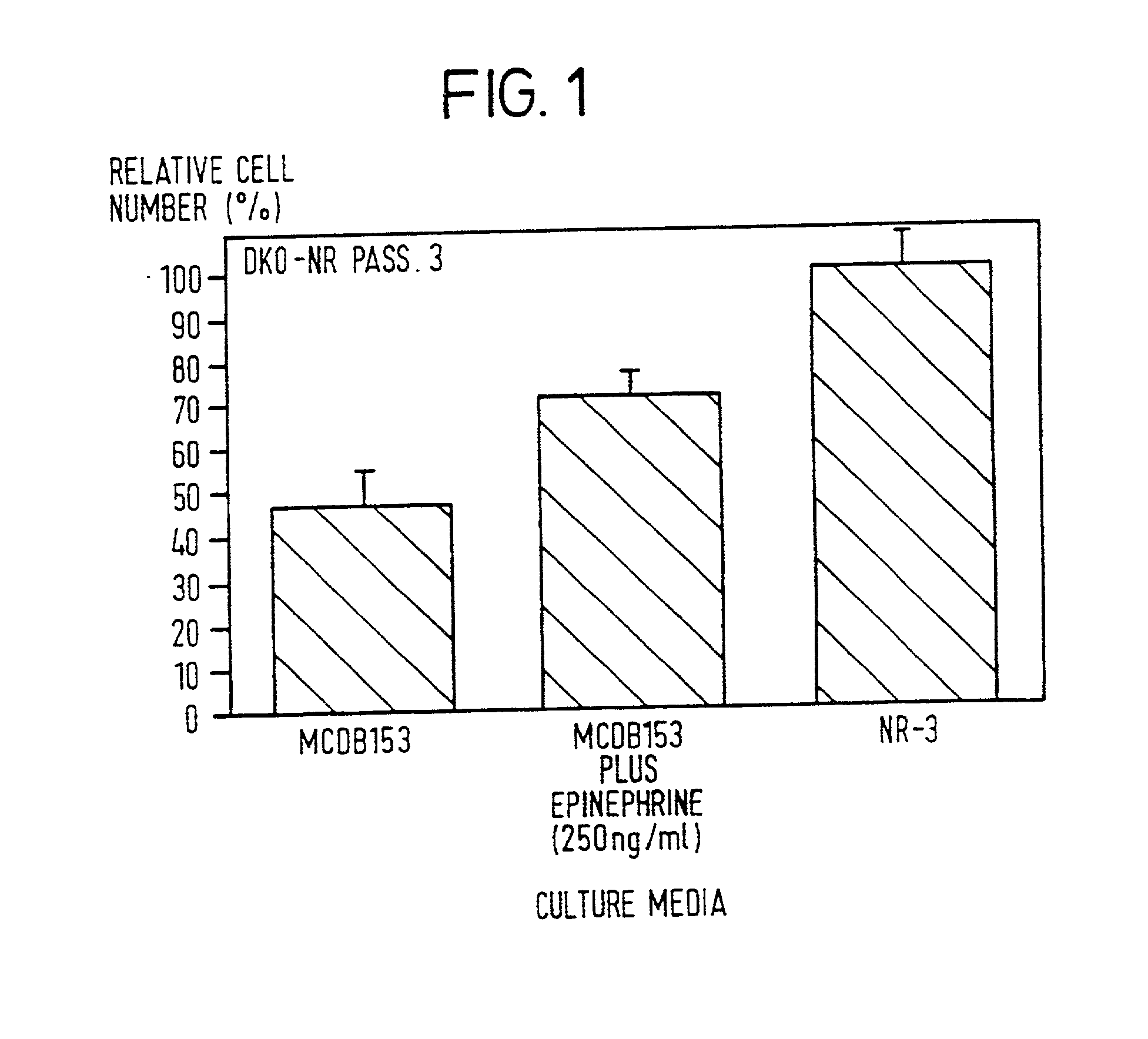 Immortalized human skin cell lines and novel serum-free medium useful for the production thereof