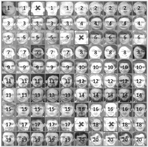 A low-rank sparse representation image feature learning method based on Laplacian regularization