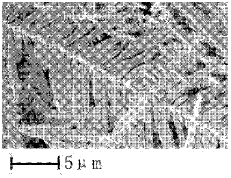 Method for electrochemically aided preparation of silver powder with special form