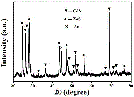 ZnS nanobelt/CdS nanorod heterojunction synthetic method