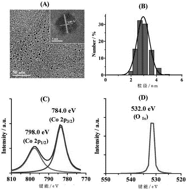 Synthetic method and application of polyacrylic acid-packaged nano-tricobalt tetraoxide