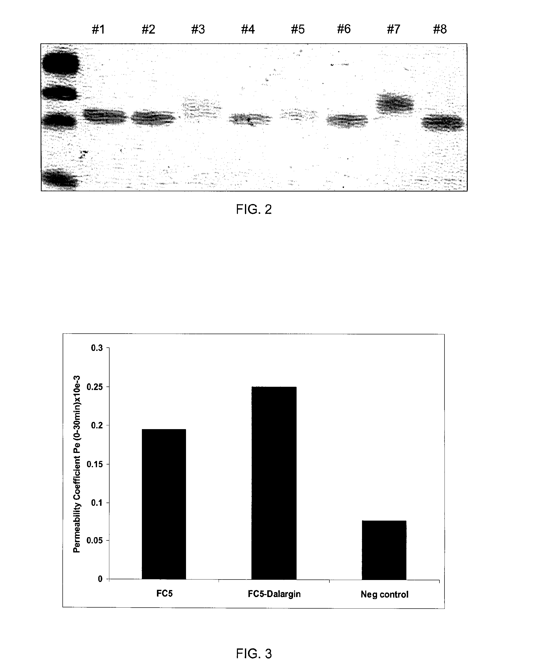 Compositions and methods for brain delivery of analgesic peptides