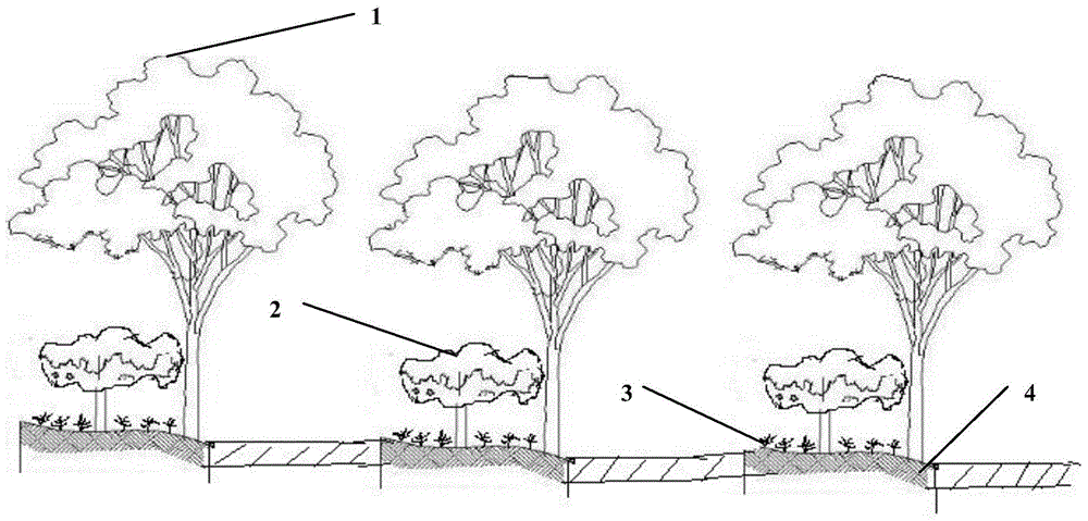 Zoological planting method for producing economic forest and charcoal fertilizer based on sludge treatment