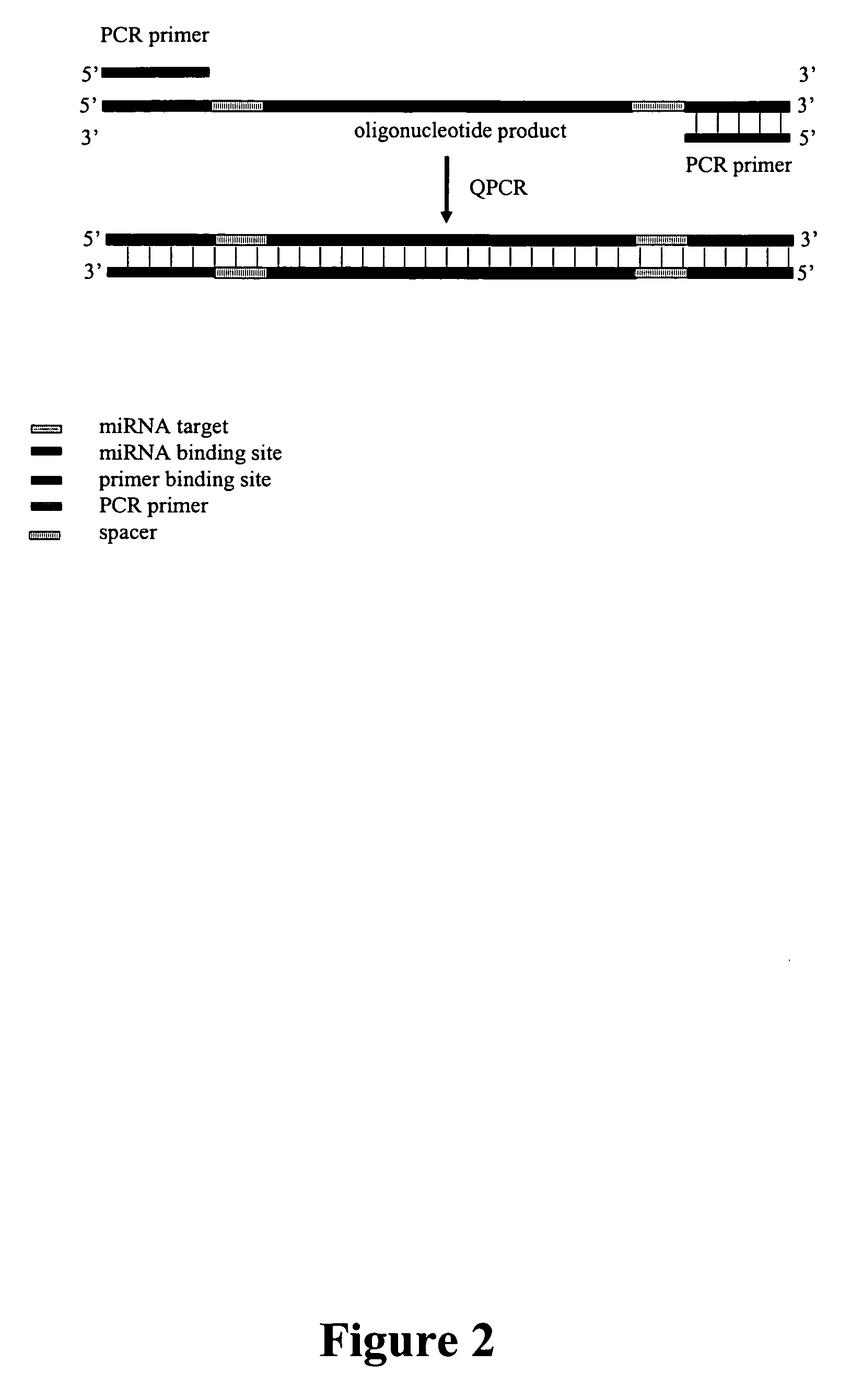 Methods, compositions, and kits for detection of microRNA