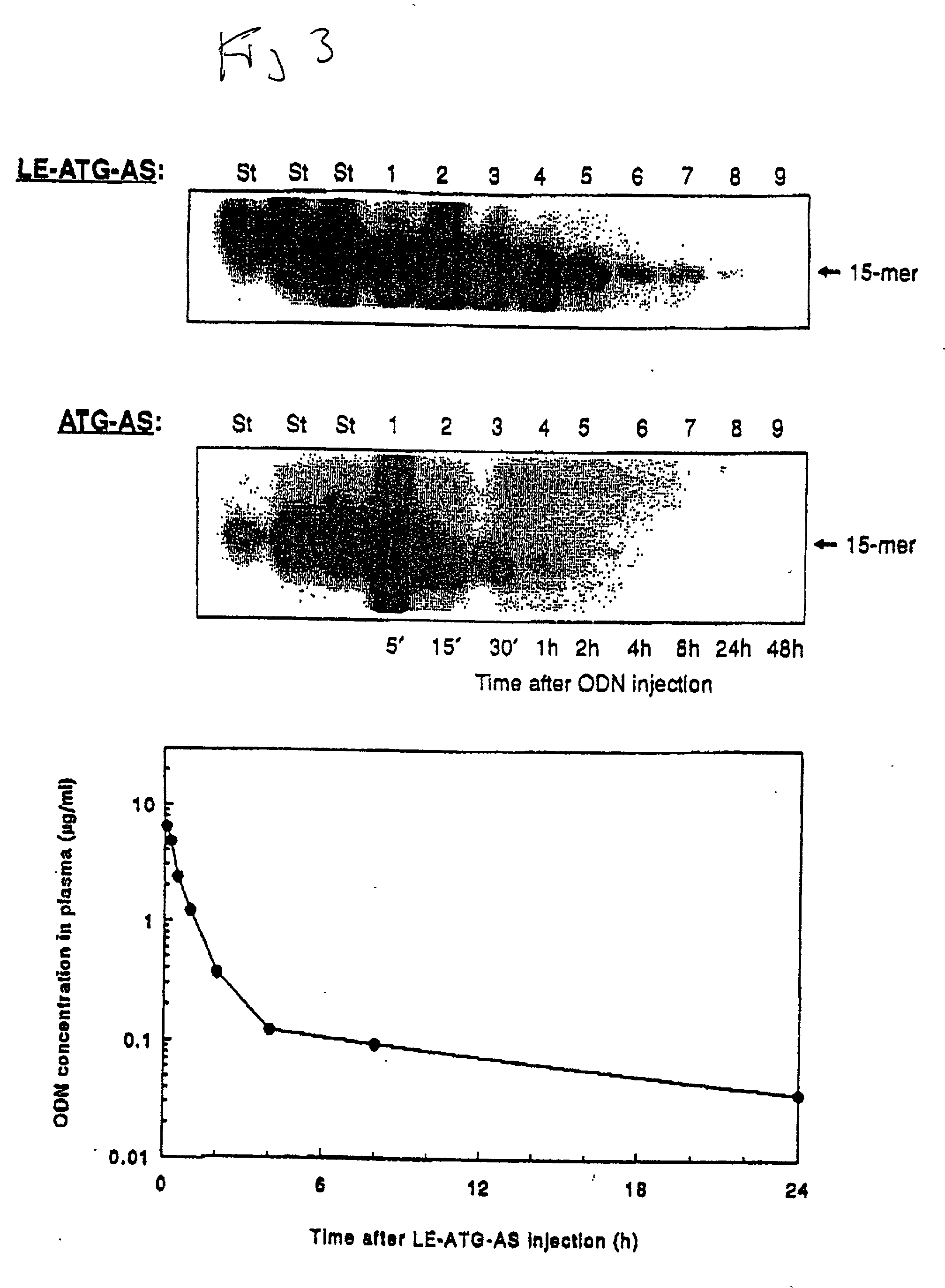 Chemosensitizing with liposomes containing oligonucleotides