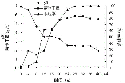 Water-soluble biological nematicide fermentation method and application
