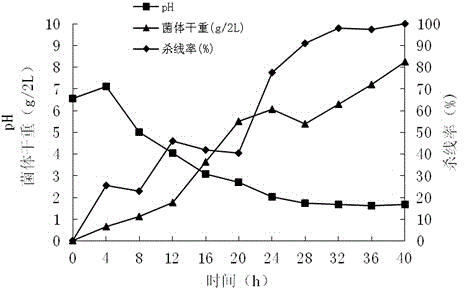 Water-soluble biological nematicide fermentation method and application