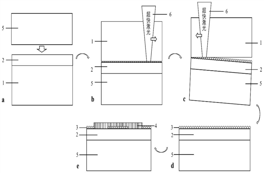 Rapid laser preparation method for flexible gallium nitride photoelectric detector