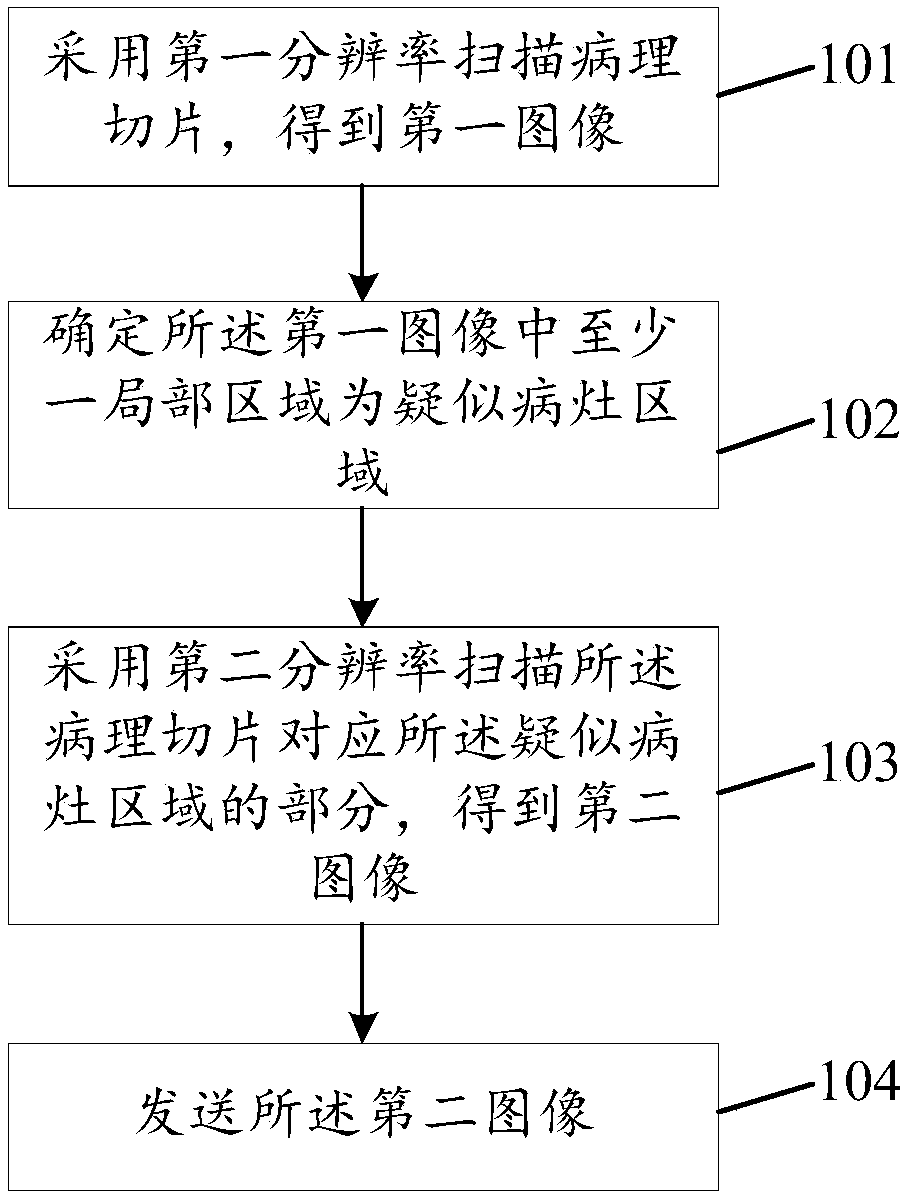 Method, device and system for assisting pathological diagnosis