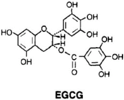3MH (3-mercapto-1-hexanol)-EGCG (epigallocatechin gallate) nanoparticle solution system and preparation method thereof
