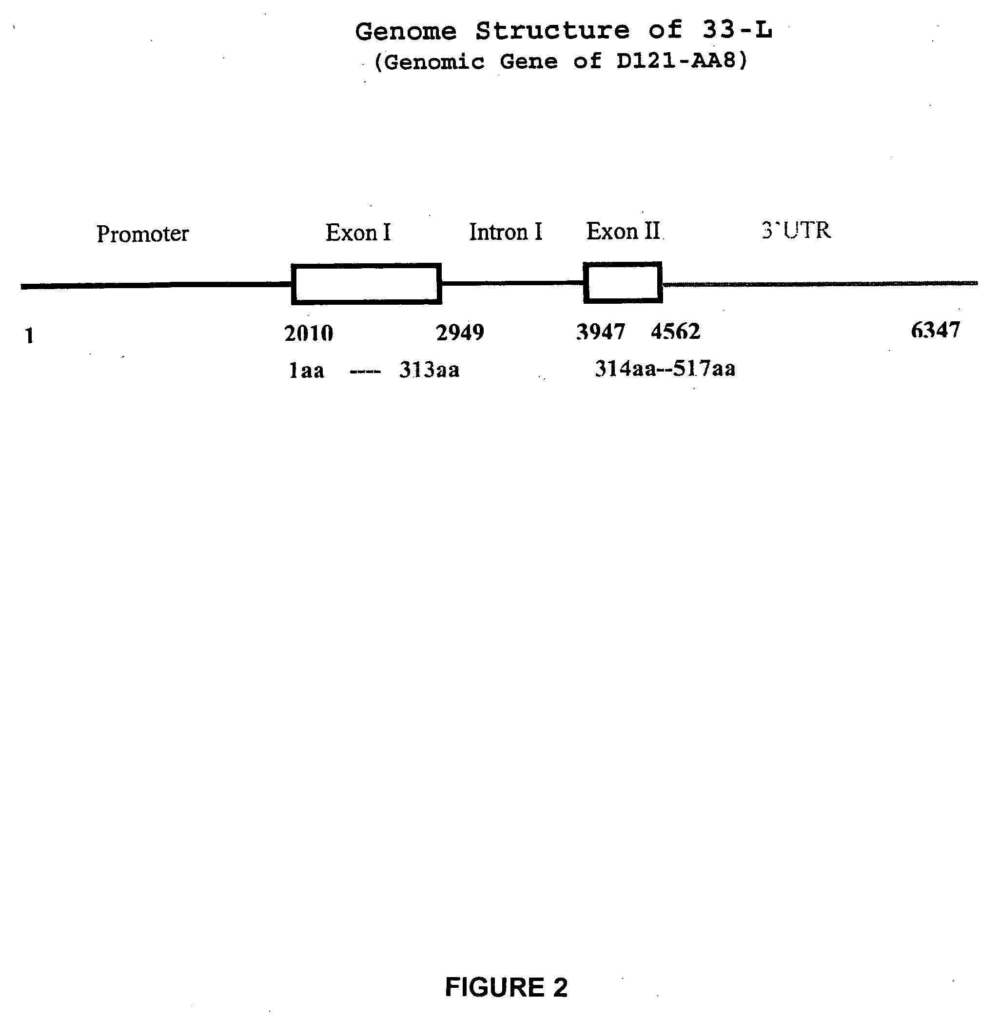 Nicotiana nucleic acid molecules and uses thereof
