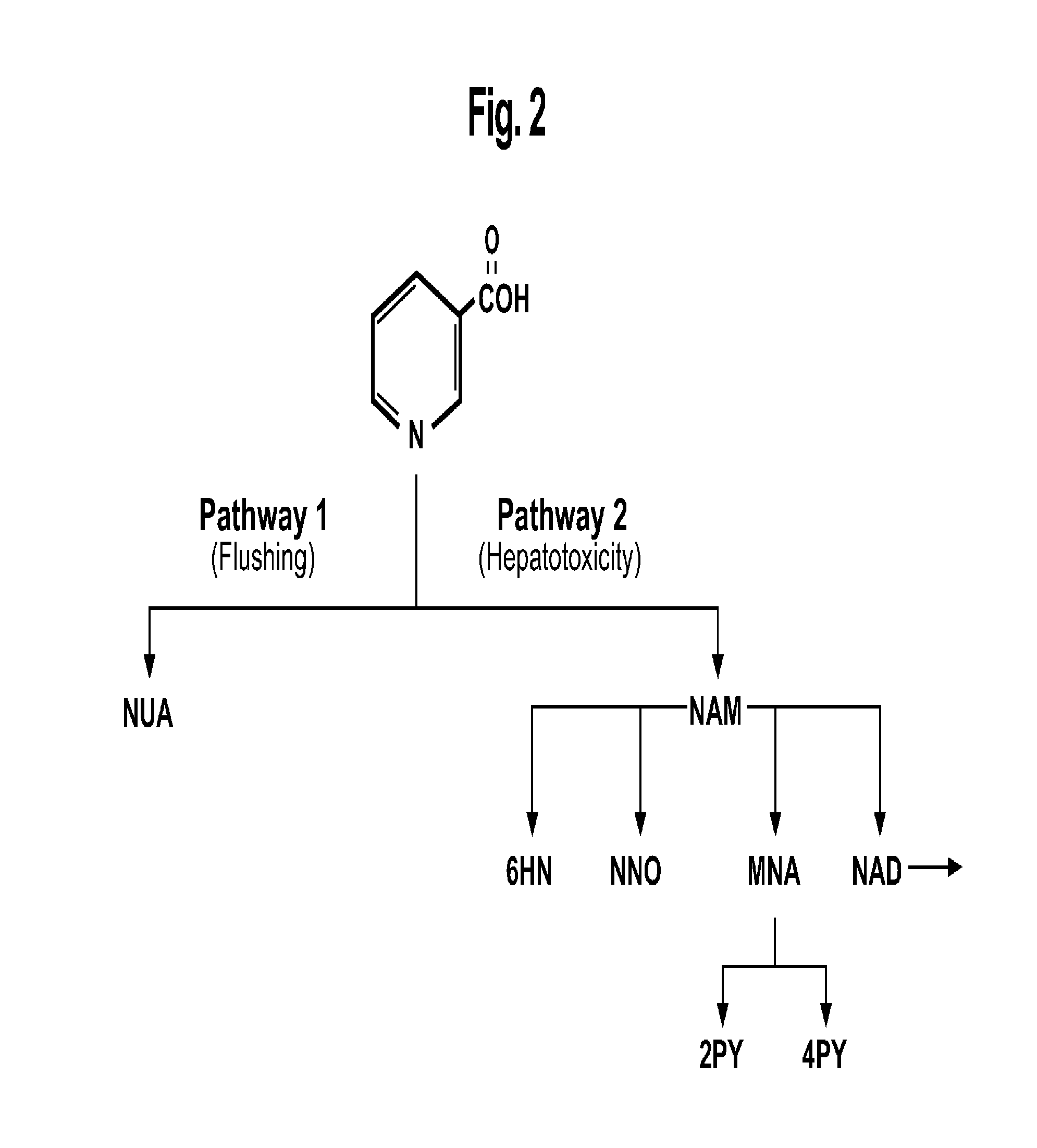 Methods for treating hyperlipidemia with intermediate release nicotinic acid compositions having unique biopharmaceutical characteristics