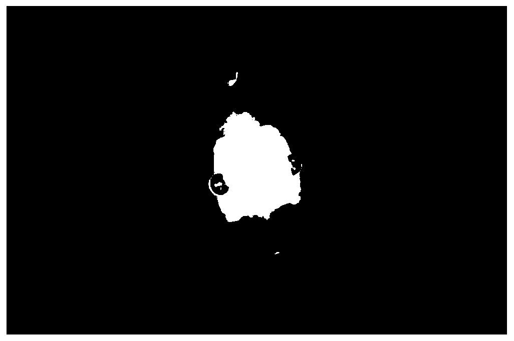 A preparation method of fluorescent film with "hamburger" structure for white light LED