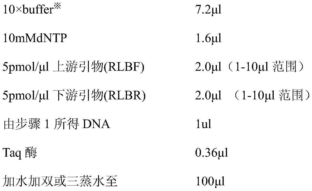 Detection film for detecting T. luwenshuni, T. uilenbergi and sheep Piroplasmea