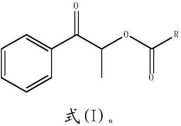 A kind of synthetic method of propiophenone compound