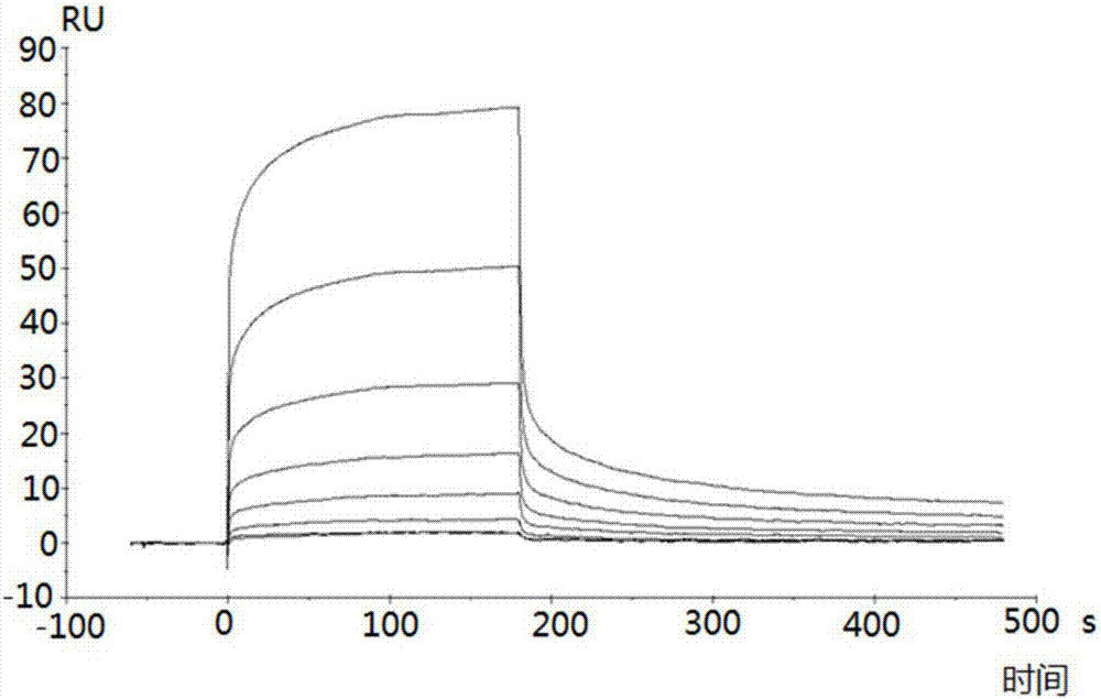 Polypeptide and application thereof to preparation of medicine for treating and preventing tumors