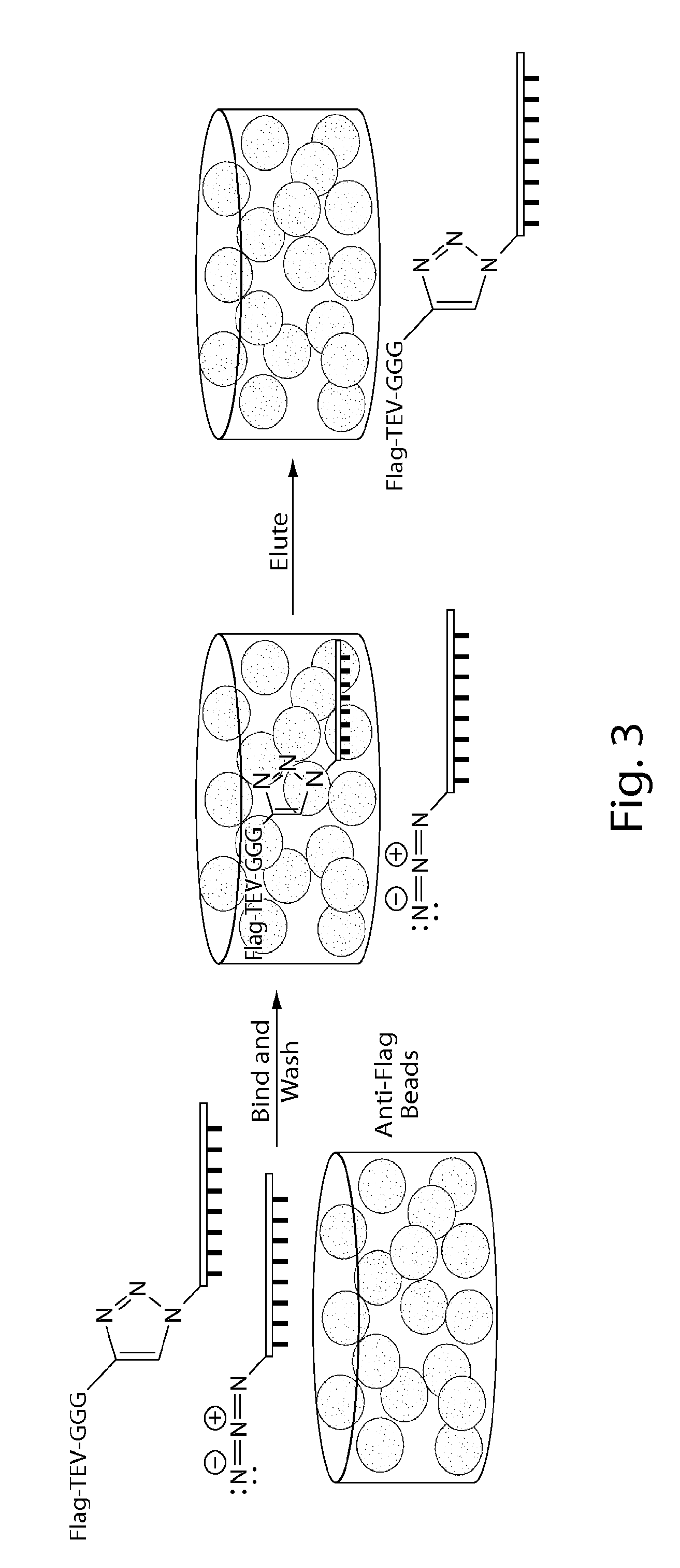 Compositions and methods relating to nucleic acid-protein complexes