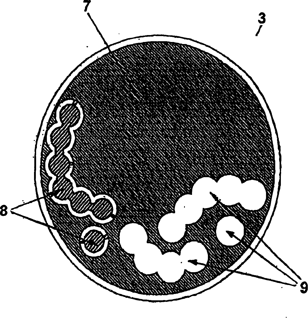 Method for producing dental prostheses