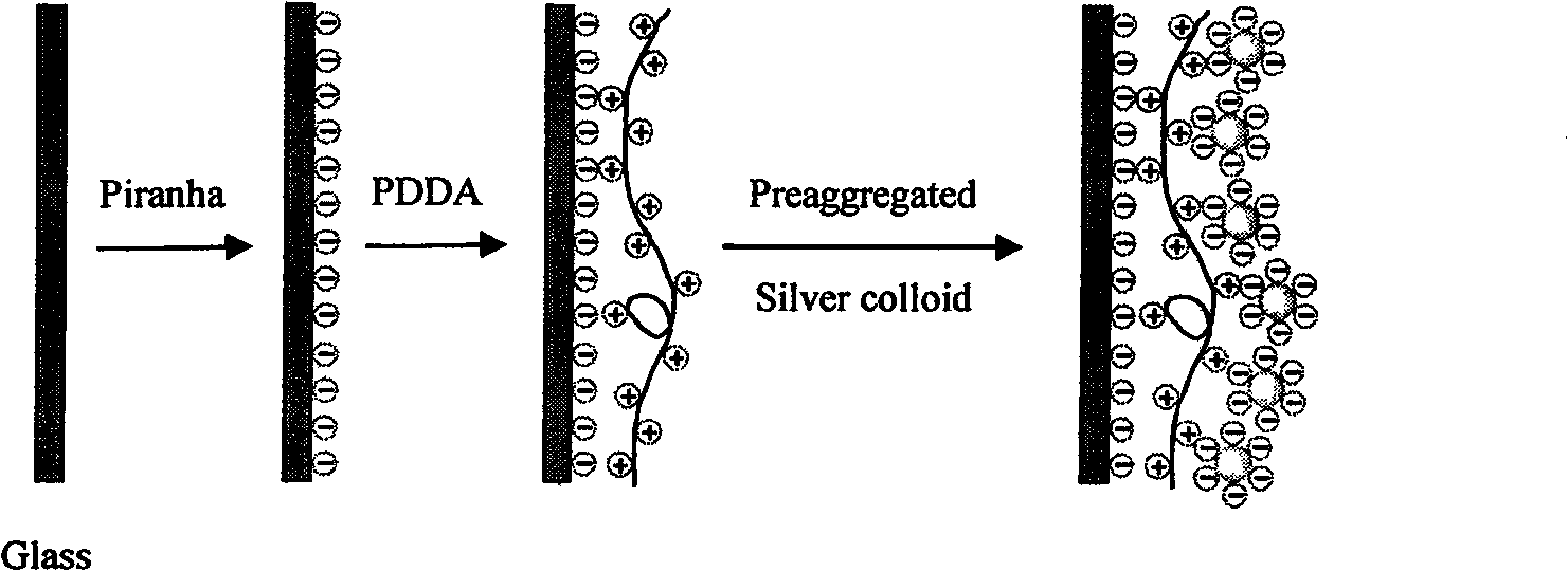 Method for producing high-surface reinforced Raman scattering active single-layer silver nanoparticle film