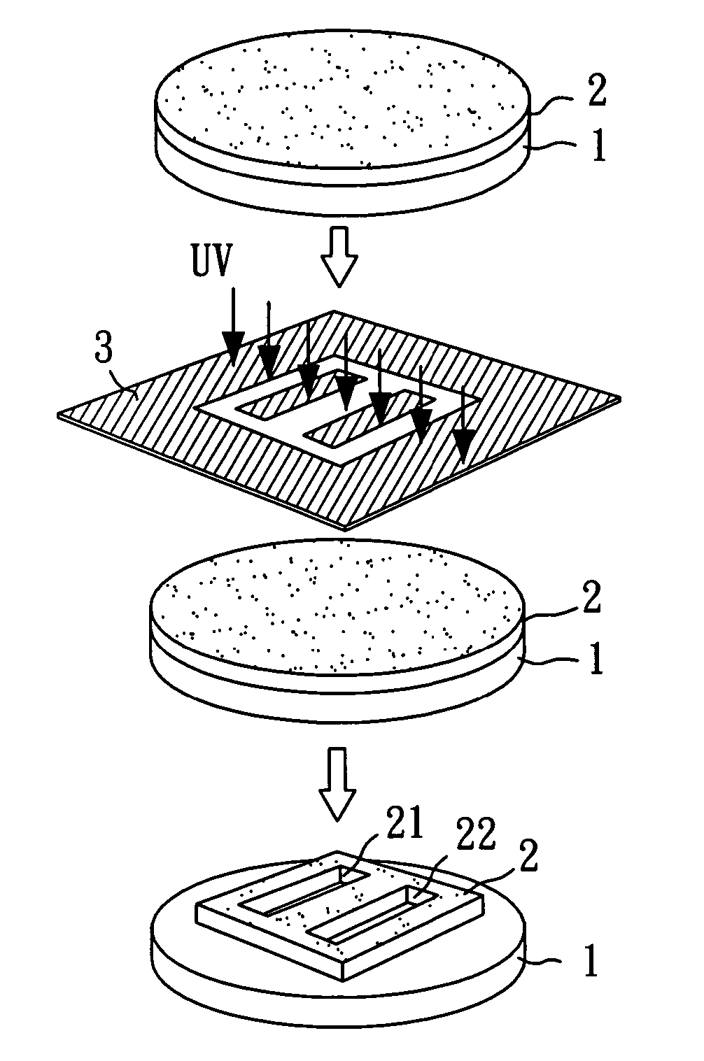 Cell culture apparatus and a fabricating method of the same