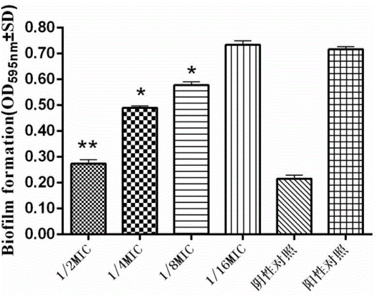 Use of rheum officinale monomer in preparation of medicines for inhibiting Streptococcus suis or intervening Streptococcus suis biofilm