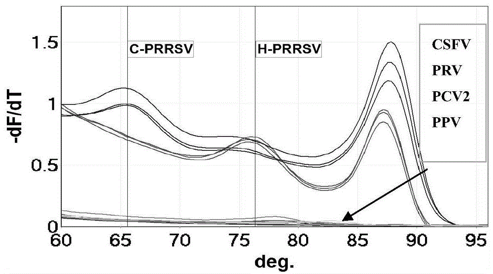 HRM (high-resolution melting) label-free probe method, primer and probe for quickly differentiating PRRSV (porcine reproductive and respiratory syndrome virus) classical strains and mutant strains