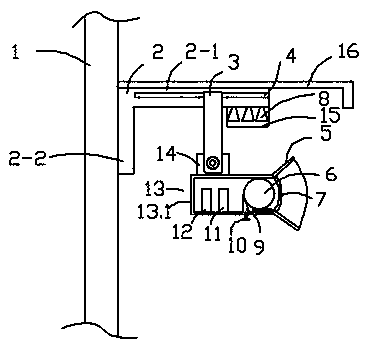 Camera with compensation light source