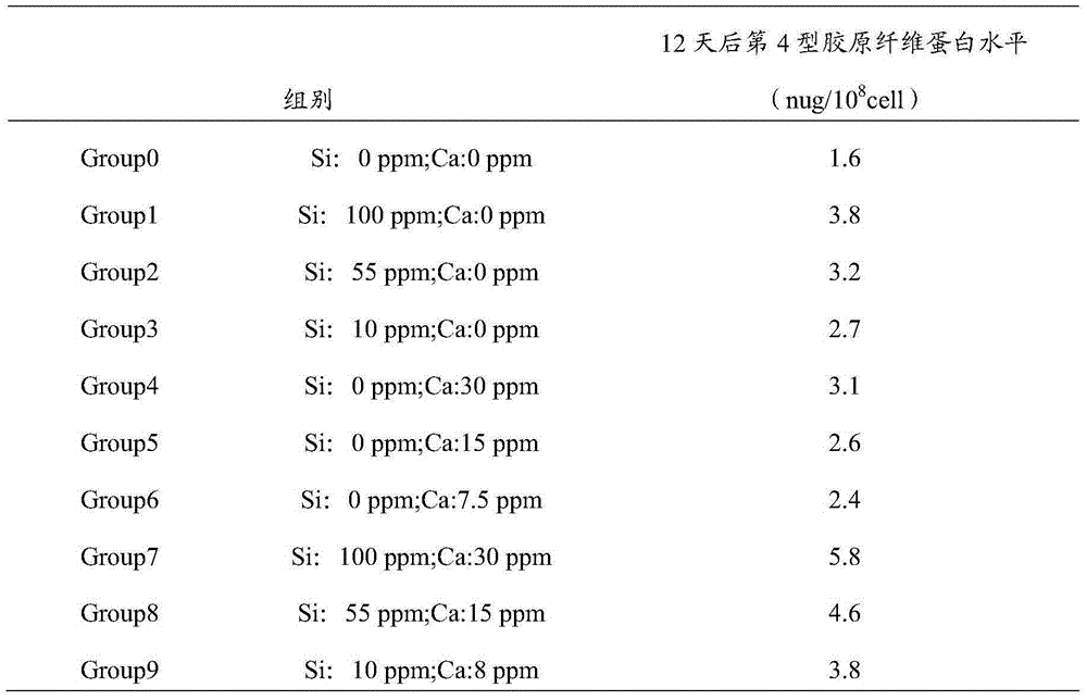 Dressing and preparation method thereof