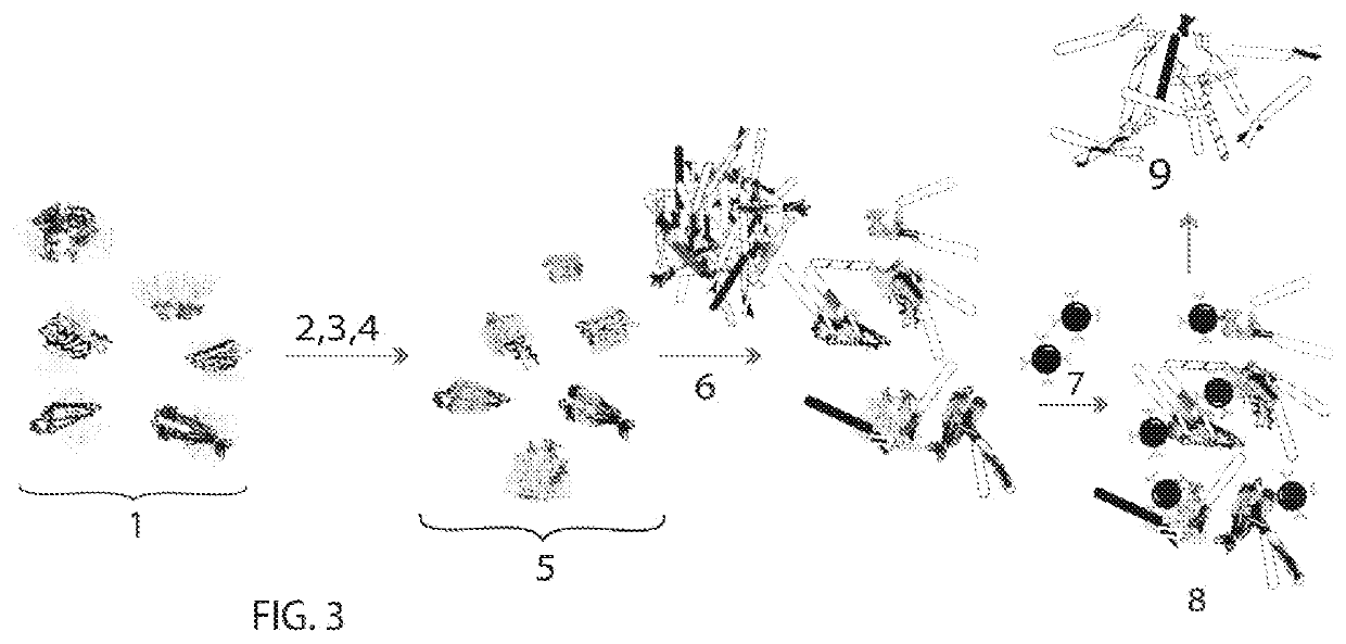 Novel methods for the in vitro processing of cancer cells from one individual to accurately preserve the antigenic architecture of multiple surface abnormalities specific to the individual cancer and for rapidly selecting and amplifying anti-cancer molecules highly specific for cancer stem cells and other abnormalities regardless of their rarity while minimizing collateral damage to normal tissue associated with less specific therapies