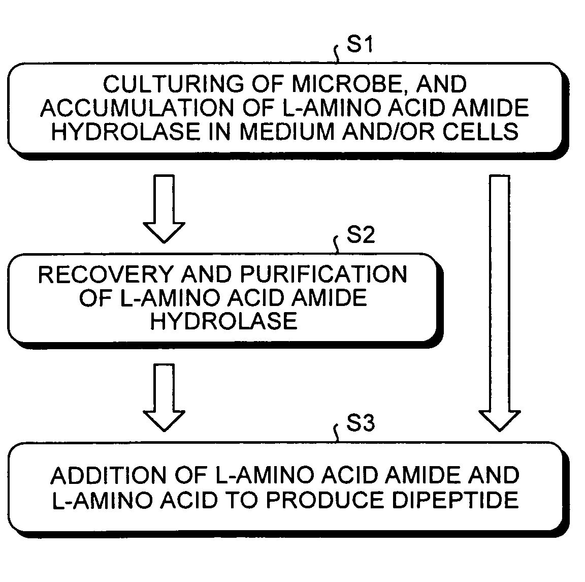 Dipeptide production method, L-amino acid amide hydrolase used therein, and production method of L-amino acid amide hydrolase