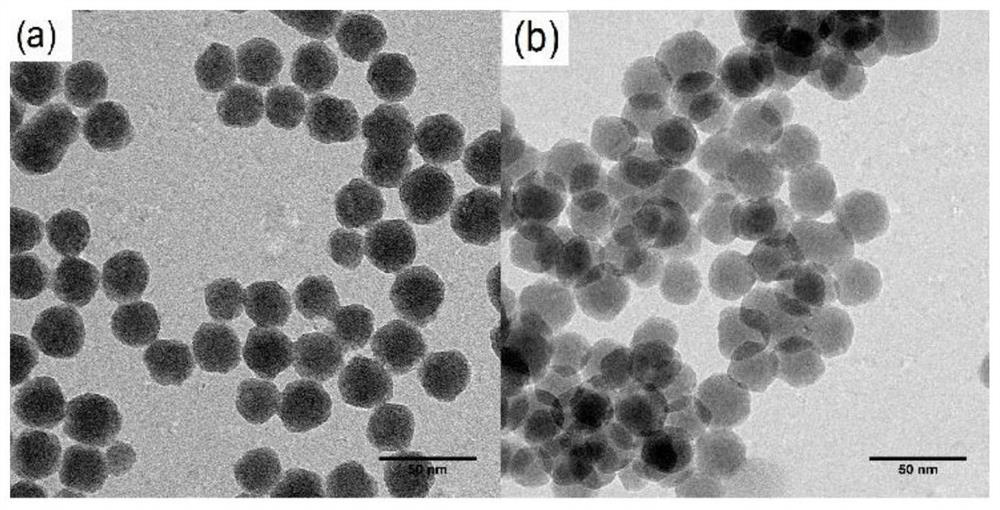 Surface functionalization of silicon nanomaterials based on vinylsulfone