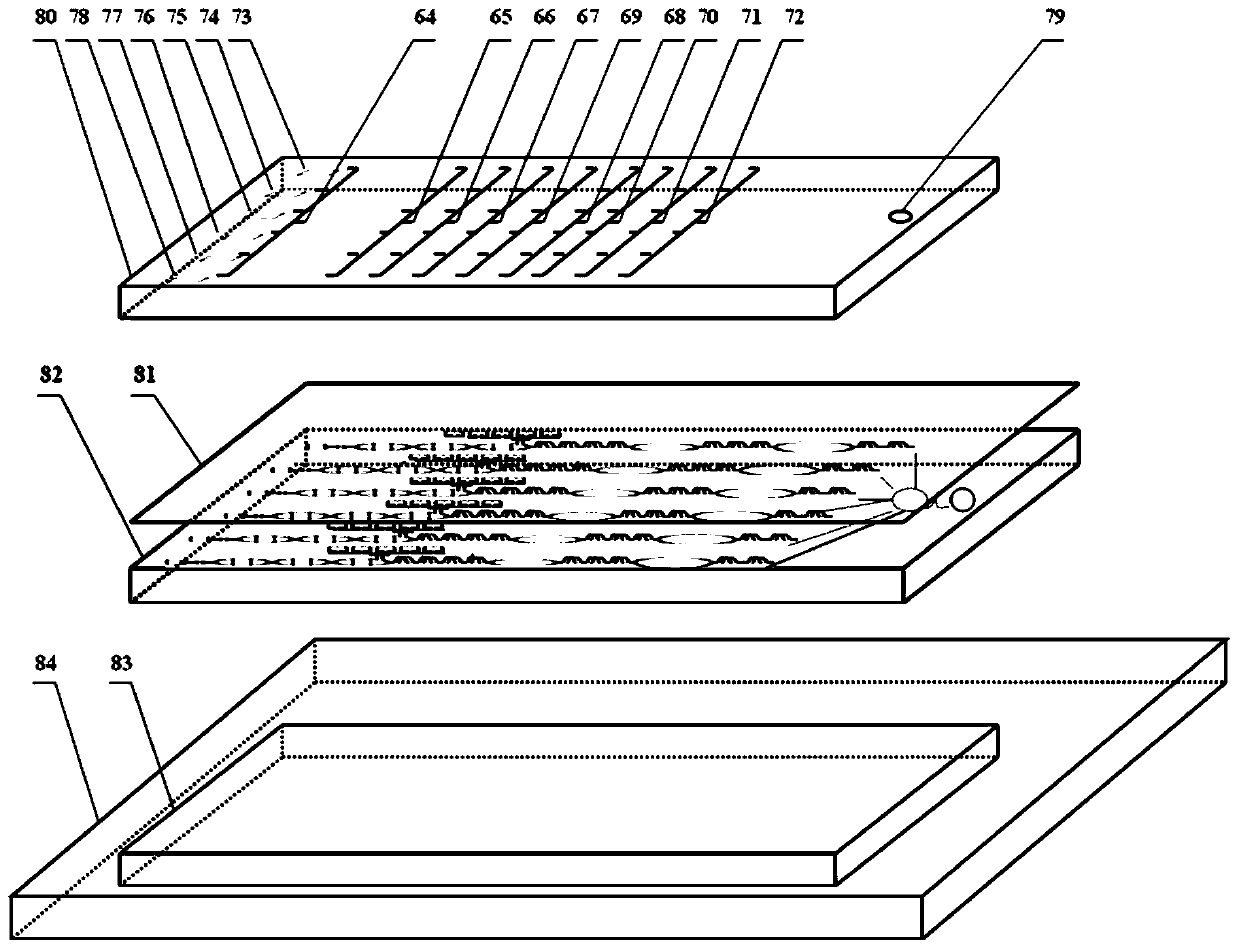 A microfluidic chip for detecting blood-related proteins in Alzheimer's disease associated with depression, its preparation method and application