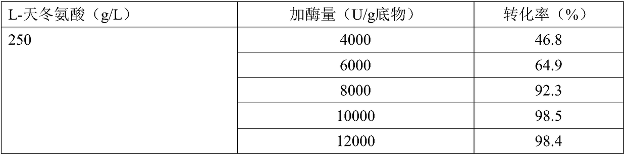 Enzymatic preparation of beta alanine