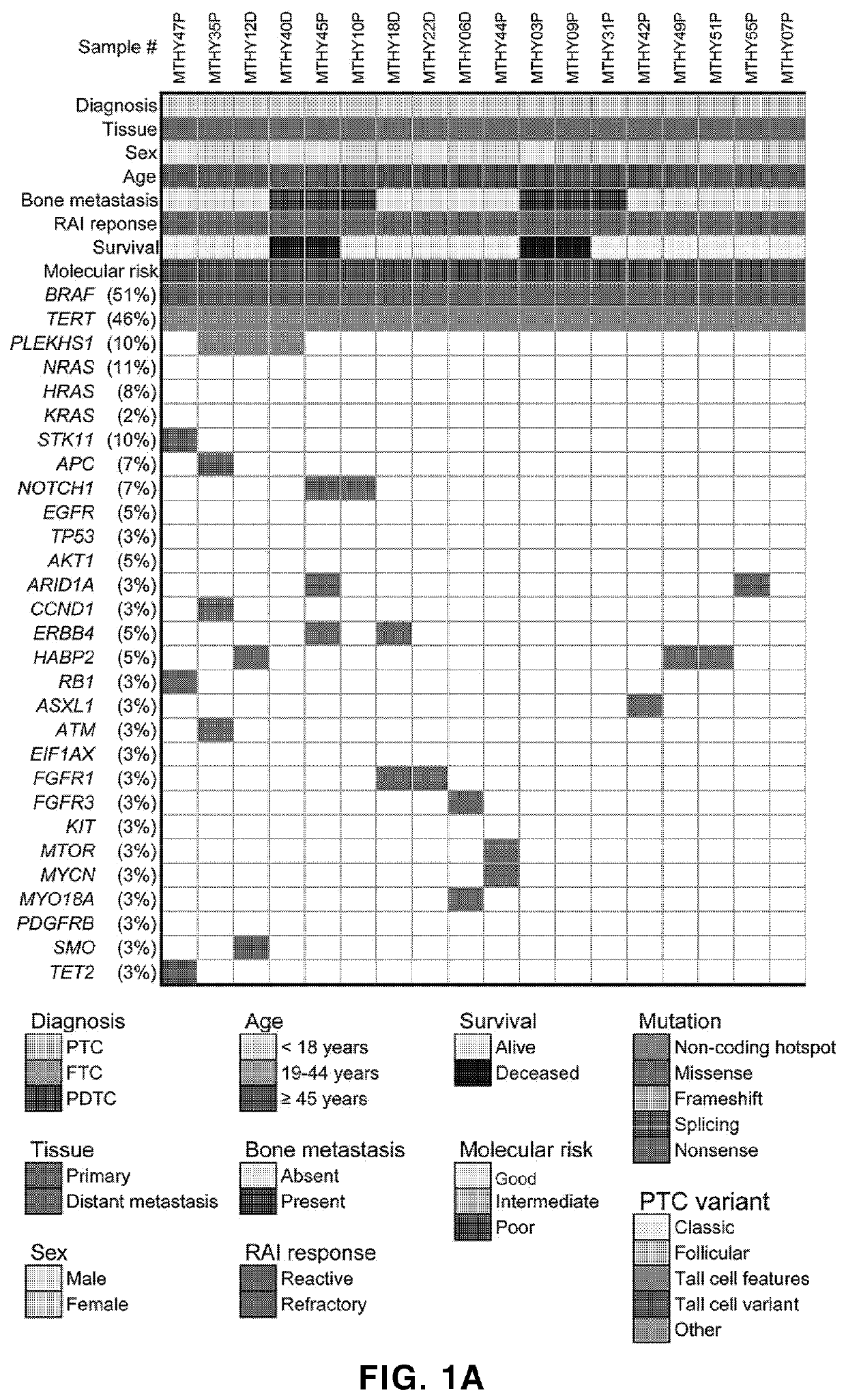 Biomarker composition for diagnosing or predicting prognosis of thyroid cancer, comprising preparation capable of detecting mutation in plekhs1 gene, and use thereof