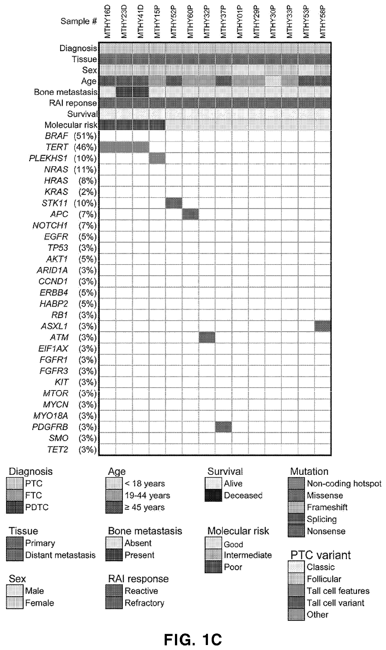 Biomarker composition for diagnosing or predicting prognosis of thyroid cancer, comprising preparation capable of detecting mutation in plekhs1 gene, and use thereof