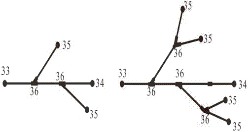 A device and method for simulating complex fracture sanding in shale