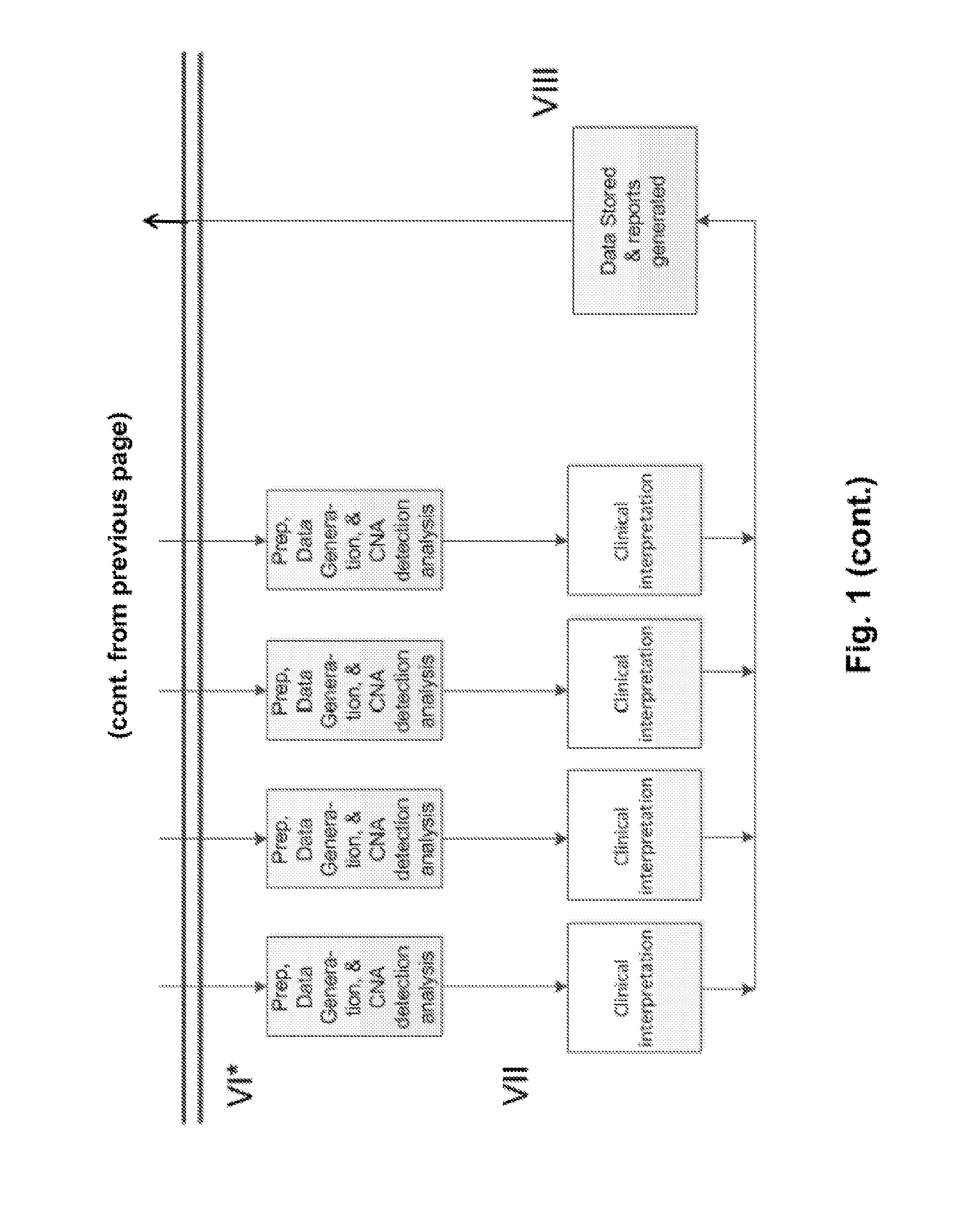 Compositions and methods for genetic analysis of embryos
