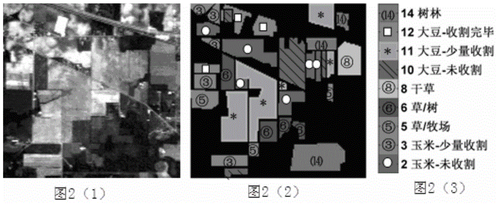 Semi-supervision and classification method for hyper-spectral remote sensing images based on local stream type learning composition