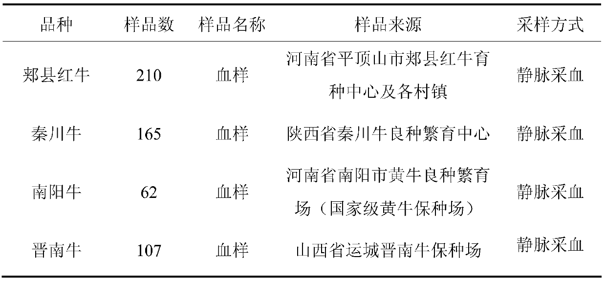 A kind of rflp method and its application of quick detection yellow cattle flii gene SNP