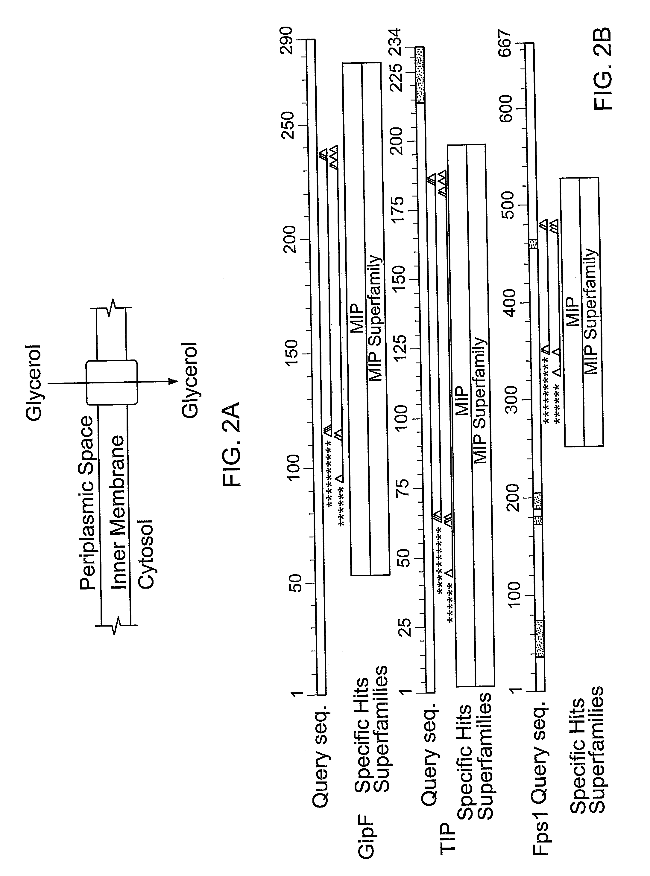 Methods of making nylon intermediates from glycerol
