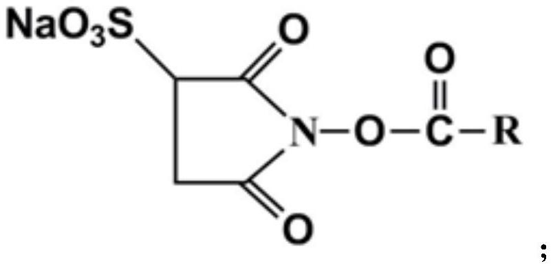 A kind of collagen hydrophobic modifier and its preparation method and the method for modifying collagen