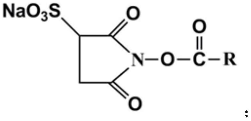 A kind of collagen hydrophobic modifier and its preparation method and the method for modifying collagen