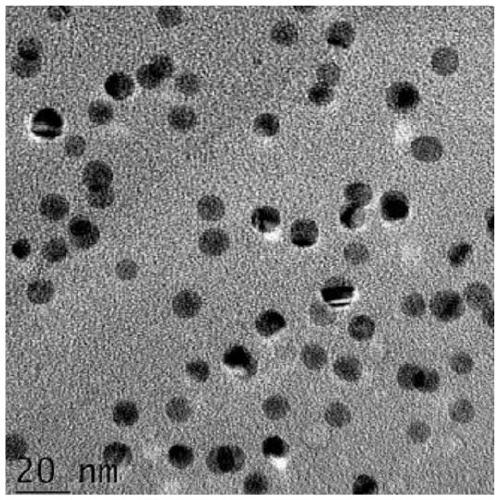 A kind of solid fluorescent carbon dot and its preparation method and application