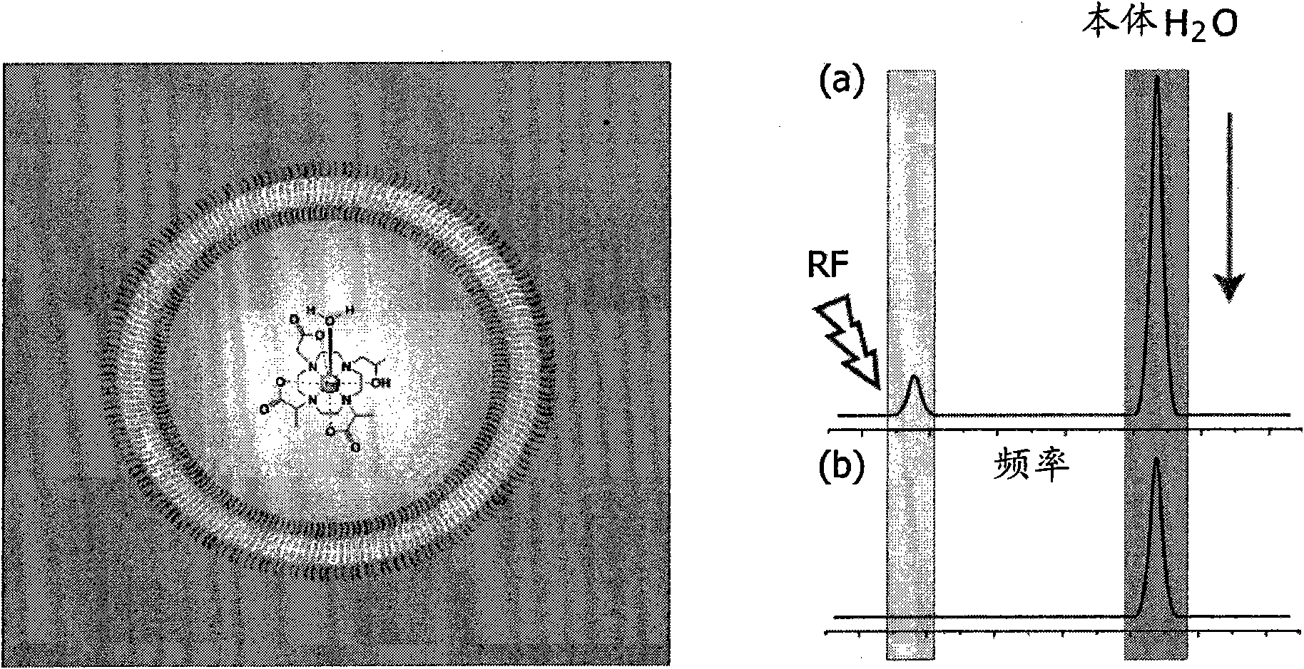 Polymeric drug carrier for image-guided delivery