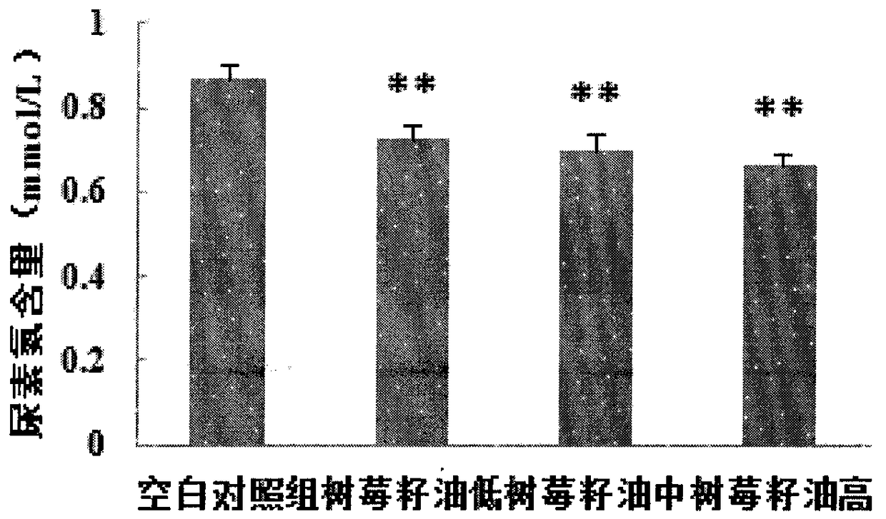 Raspberry Seed Oil Anti-Fatigue Uses