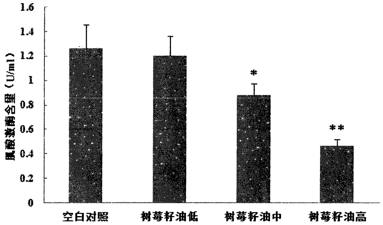 Raspberry Seed Oil Anti-Fatigue Uses