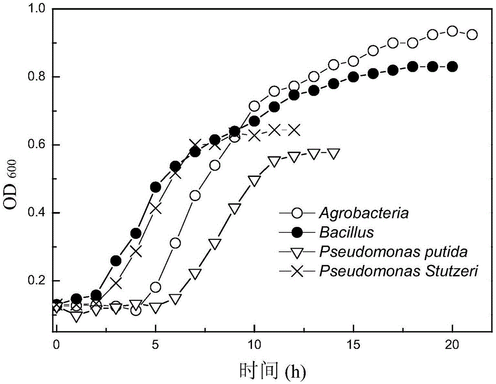 A kind of composite flora for degrading electroplating wastewater and its preparation method